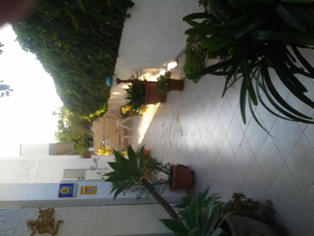 B&B Il Girasole Noto Extérieur photo