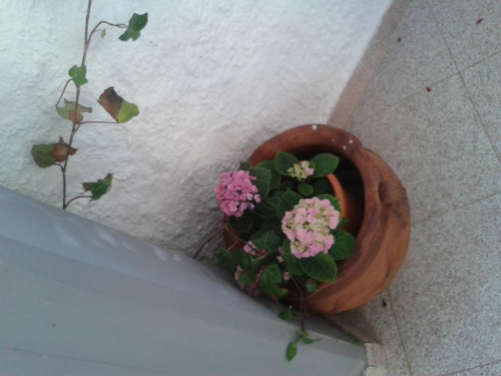B&B Il Girasole Noto Extérieur photo