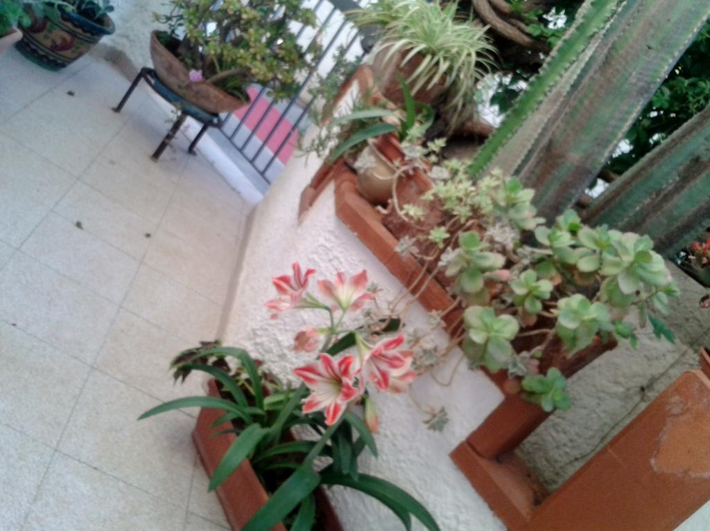 B&B Il Girasole Noto Extérieur photo